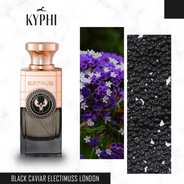 Black Caviar Electimuss London